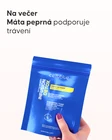 Detoxikační čaj - 2