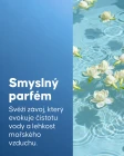 Masážní olej proti celulitidě - 4