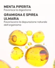 Infusione disintossicante - 3