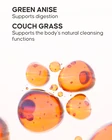 Weight Loss Tea - 3