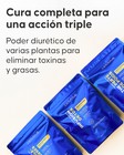 Detalle de las infusiones détox incluidas en el programa Cellublue