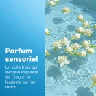 Huile Massage Cellulite - 4