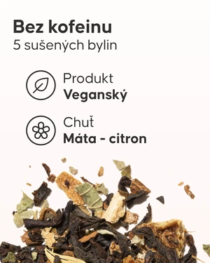 Detoxikační čaj - 4