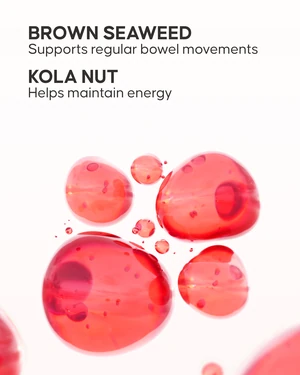 Weight Loss Capsules - 3