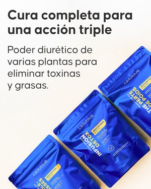 Detalle de las infusiones détox incluidas en el programa Cellublue