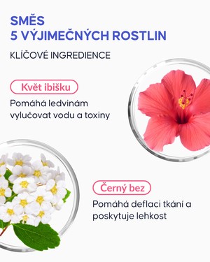 Detoxikační čaj - 3