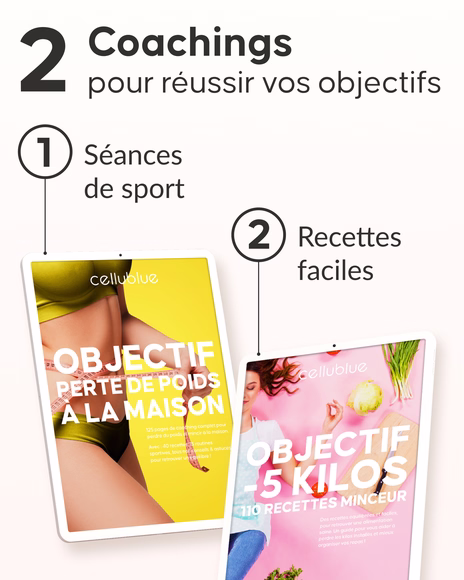 Détail des sachets infusions programme détox 20 jours