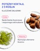 Celludrink redukujący tkankę tłuszczową - 3