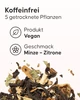 Detox-Kräuterinfusion - 4