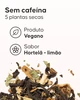 Infusão Detox - 4