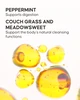 Detox Herbal Tea - 3