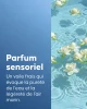 Huile de Massage Cellulite - 4