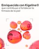 Ingredientes naturales de la Crema Reafirmante Cellublue con Kigeline