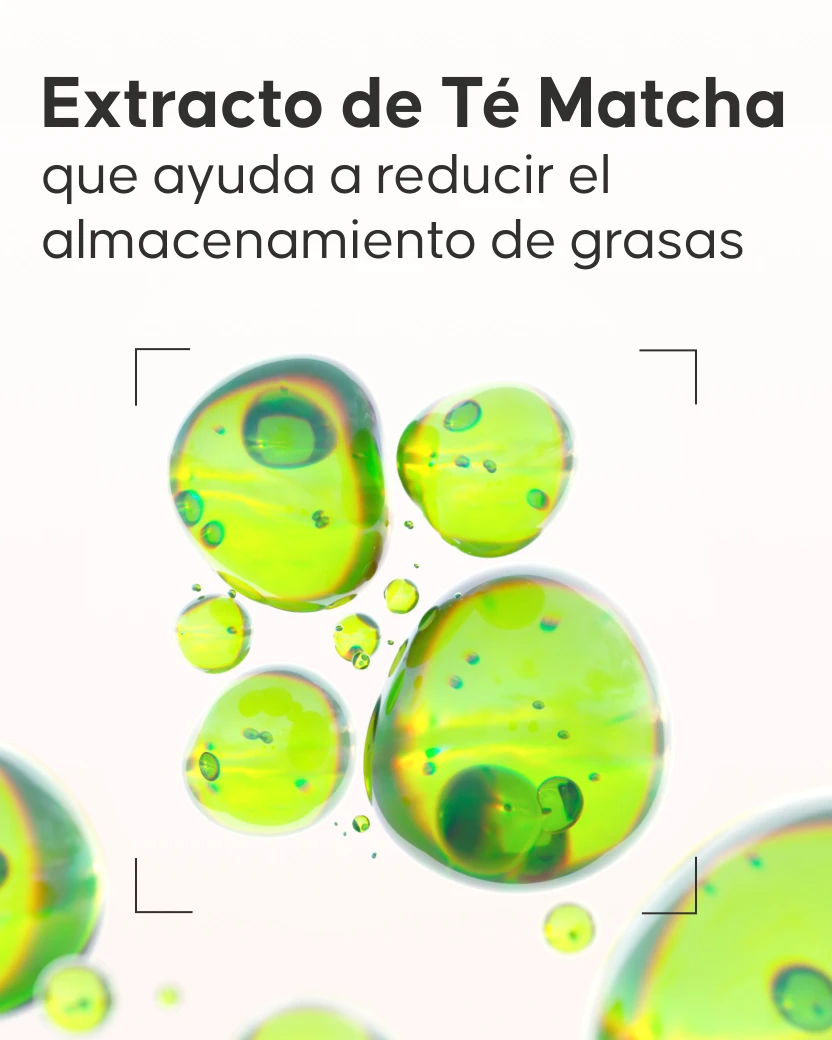 Ingredientes activos del aceite anticelulítico Cellublue