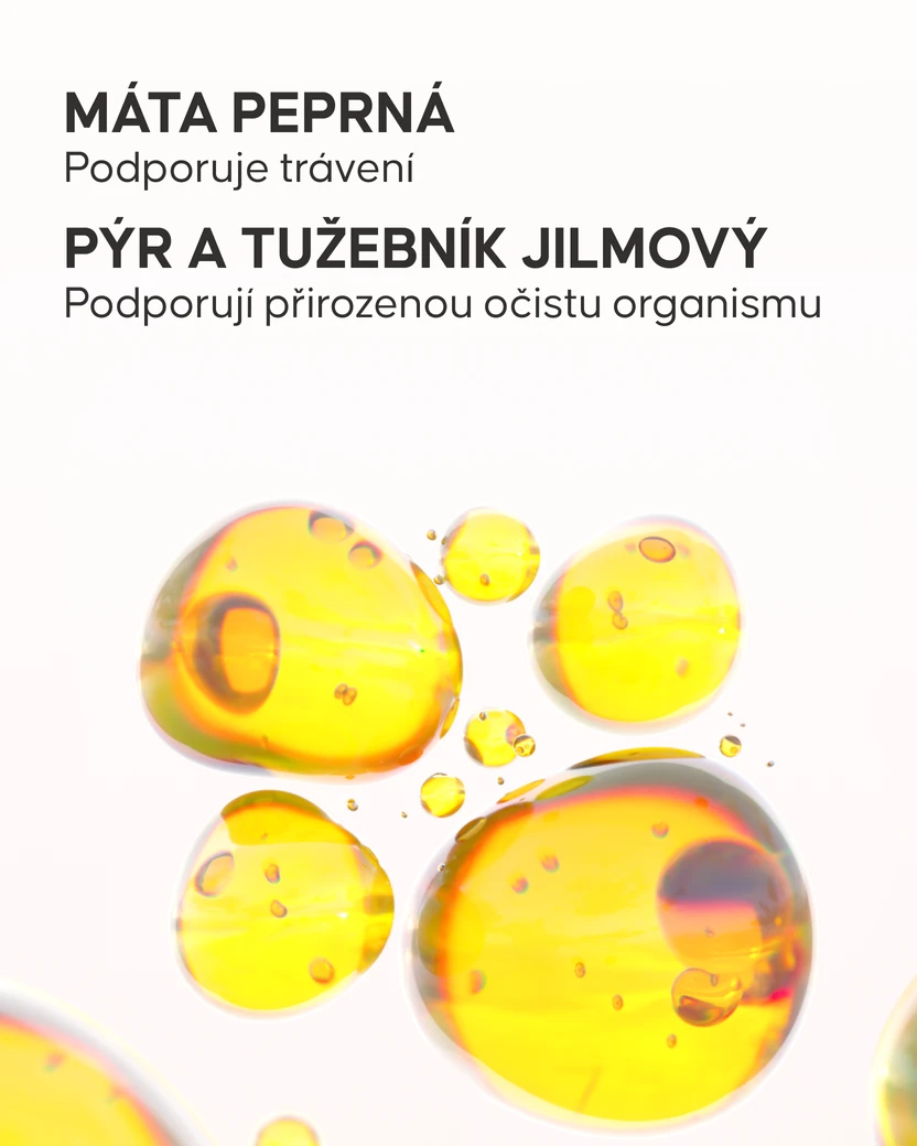 Detoxikační čaj - 3