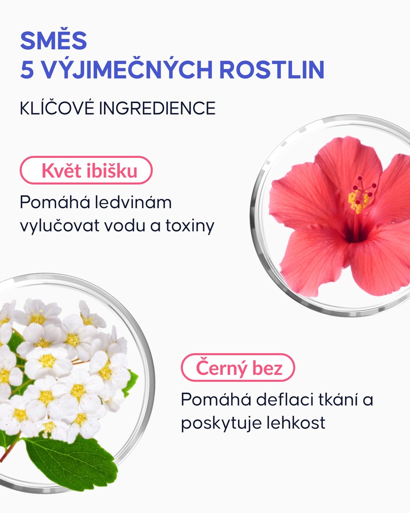 Detoxikační čaj - 3