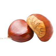 Prodhygem® Fitsweet chestnut and horse chestnut bud extract