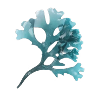 <strong>Extrait d\'Algue Laminaria</strong>