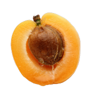 Huile d\'Abricot