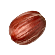 Actif breveté de Jojoba
