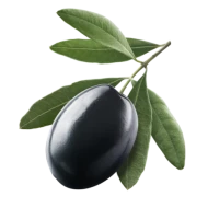 Huile d'Olive