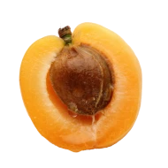 Huile d\'Abricot