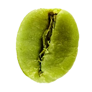 Extracto de Café Verde