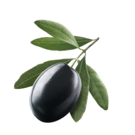 Olivové pecky