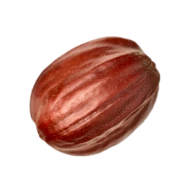 Extrait de Jojoba