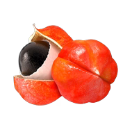 Guarana