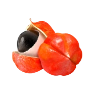 Guaranà