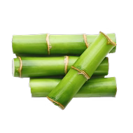 Grains de Bambou