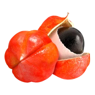 Guarana<br><em>koncentrát na kofeinu</em>