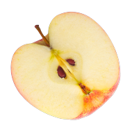 Vinaigre de Cidre
