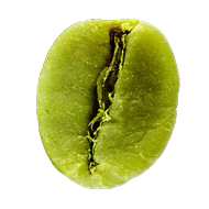 Grüner Kaffee