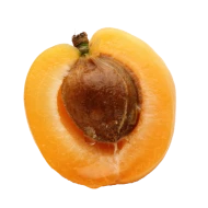 Meruňková jadérka