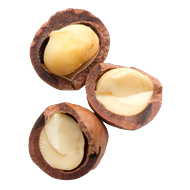 Huile de Macadamia