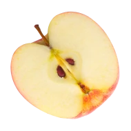 Apfelessig