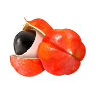 Guarana