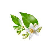 Actif breveté Remoduline®