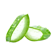 Vysoce koncentrovaný extrakt z Aloe Vera