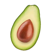 Huile d'Avocat