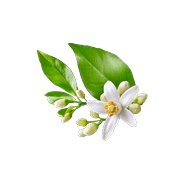 Principio attivo brevettato Remoduline®