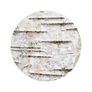 Extrait de Bouleau Blanc