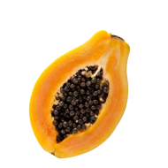 Papája