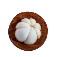 Garcinia Cambogia