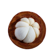 Garcinia Cambogia