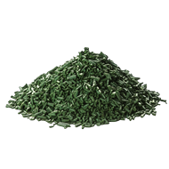 Spiruline