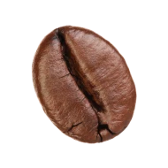 Koffein