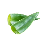 Aloé Vera
